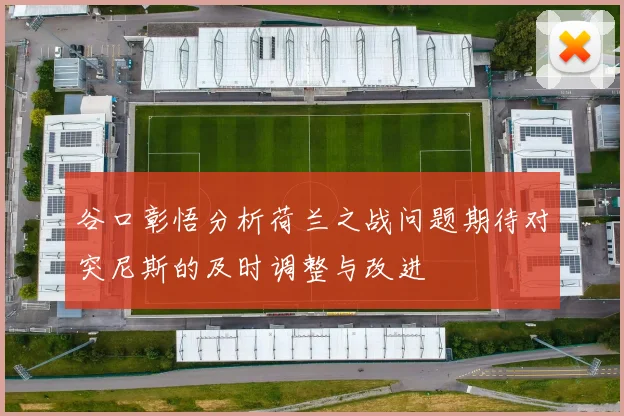 谷口彰悟分析荷兰之战问题期待对突尼斯的及时调整与改进